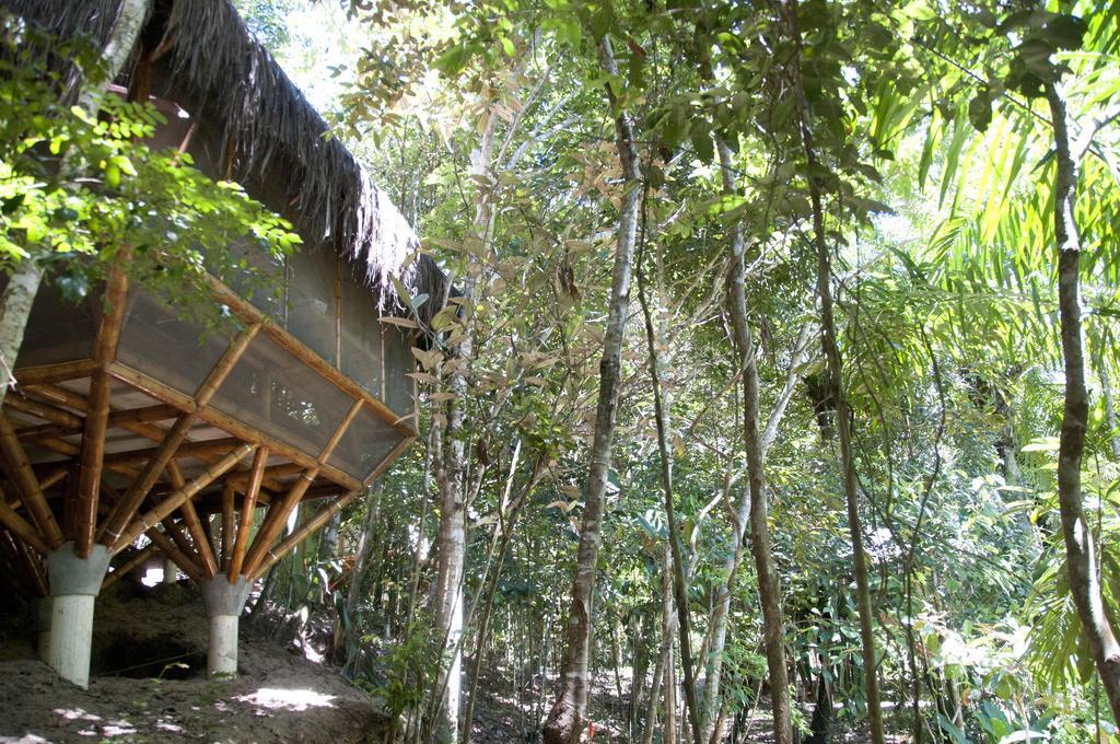 Universo Pol Bamboo Hostel Morro de São Paulo Oda fotoğraf