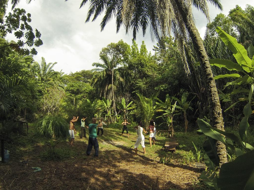 Universo Pol Bamboo Hostel Morro de São Paulo Dış mekan fotoğraf