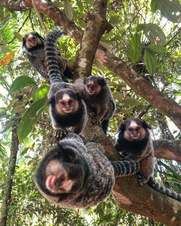 Universo Pol Bamboo Hostel Morro de São Paulo Dış mekan fotoğraf
