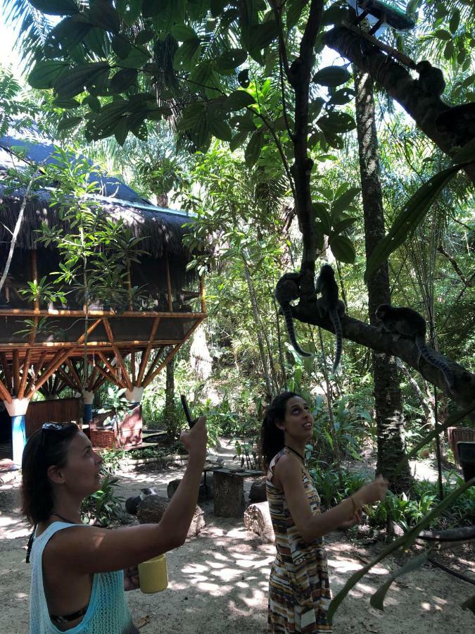 Universo Pol Bamboo Hostel Morro de São Paulo Dış mekan fotoğraf
